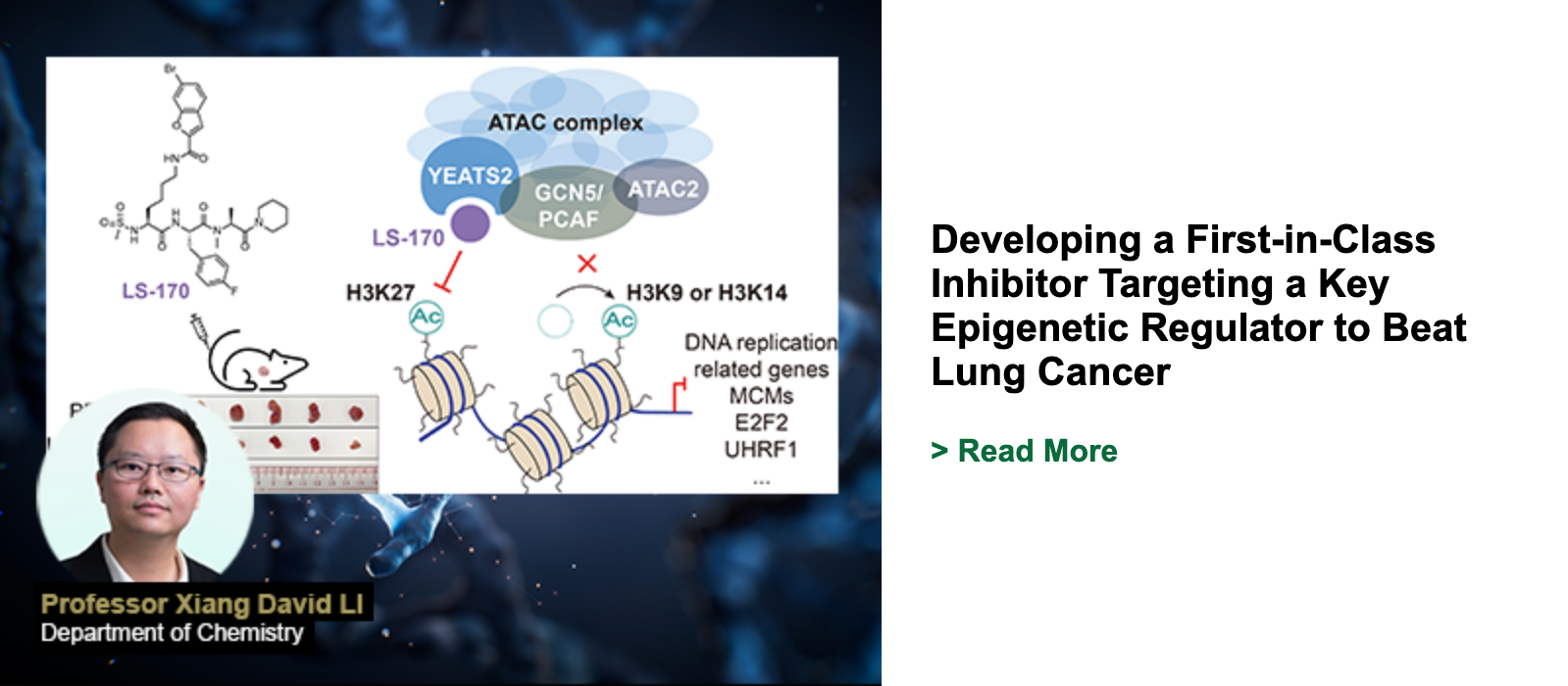 Developing a First-in-Class Inhibitor Targeting a Key Epigenetic Regulator to Beat Lung Cancer
